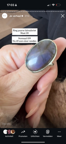 Ring paarse lab