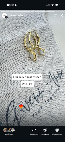 2x oorbel