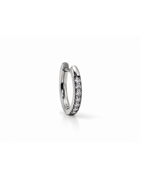 Evi Titanium Oorring 1 ST.