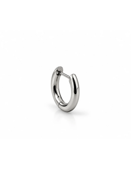 Mae Titanium Oorring 1 ST.