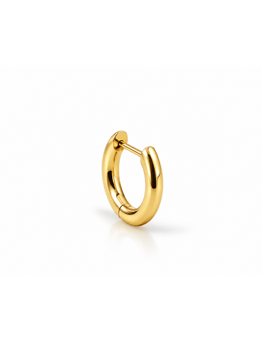Mae Titanium Goud Oorring 1 ST.
