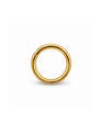 Basic Titanium Clicker Goud 6-10 mm