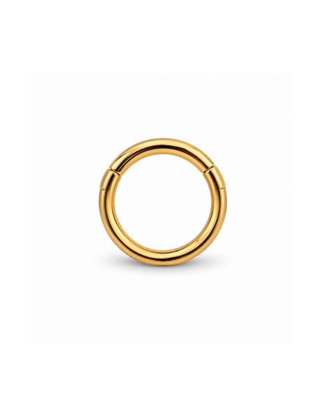 Basic Titanium Clicker Goud 6-10 mm