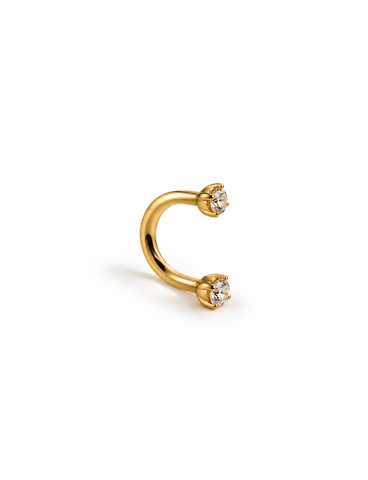 Sari Small Titanium Piercing Goud -1 ST.