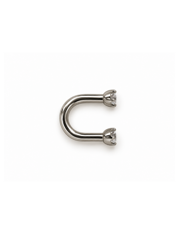 Sari Small Titanium Piercing-1 ST.