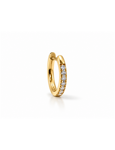 Evi Titanium Goud Oorring 1 ST.