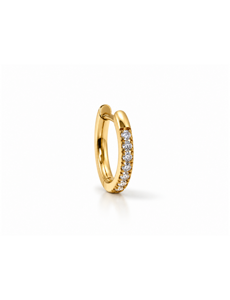 Evi Titanium Goud Oorring 1 ST.
