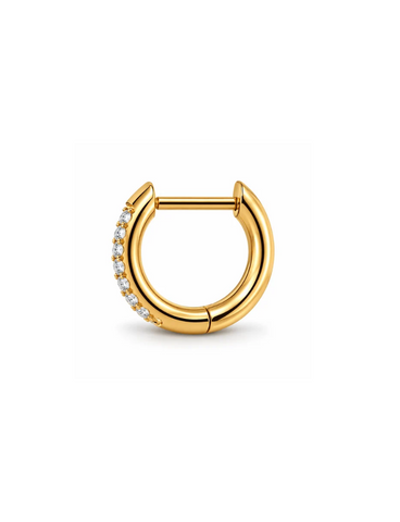 Evi Titanium Goud Oorring 1 ST.