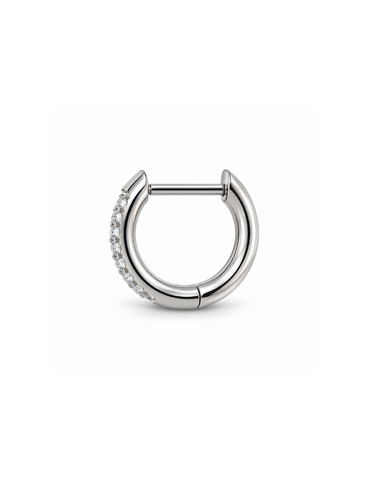 Evi Titanium Oorring 1 ST.