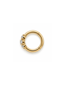 Celeste Titanium Goud Clicker Goud 8 mm