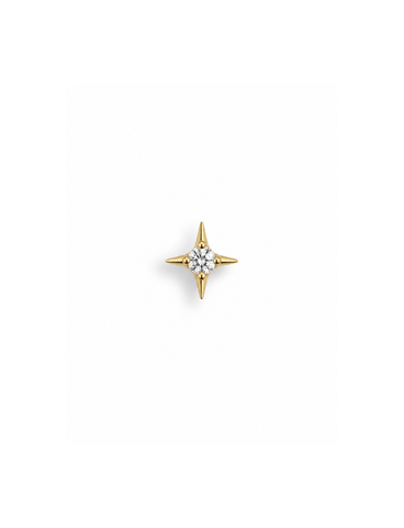 Aster Titanium Flatback Piercing Goud -1 ST.