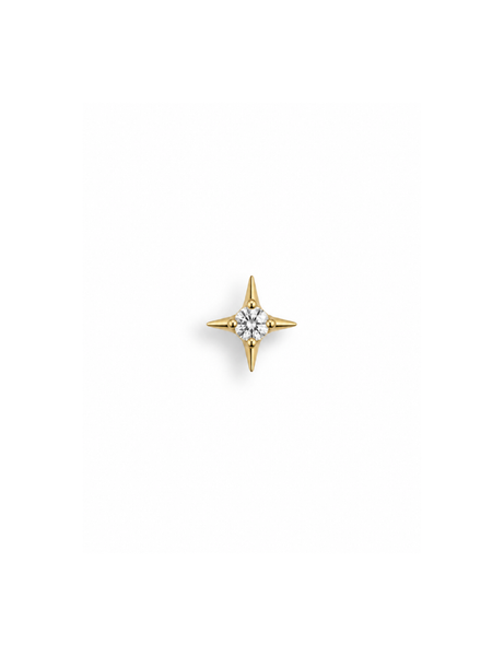 Aster Titanium Flatback Piercing Goud -1 ST.