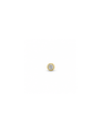 Elin Titanium Flatback Piercing Goud -1 ST.